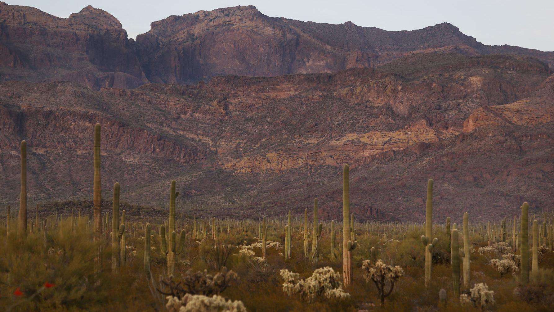 Appeals court upholds Tucson drug conviction of trafficking scout